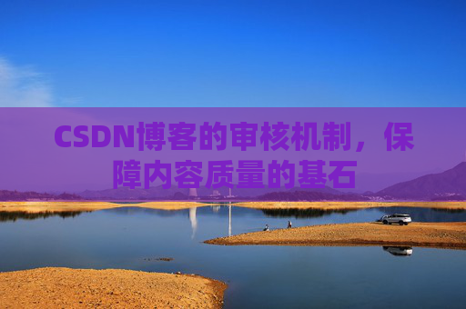 CSDN博客的审核机制，保障内容质量的基石